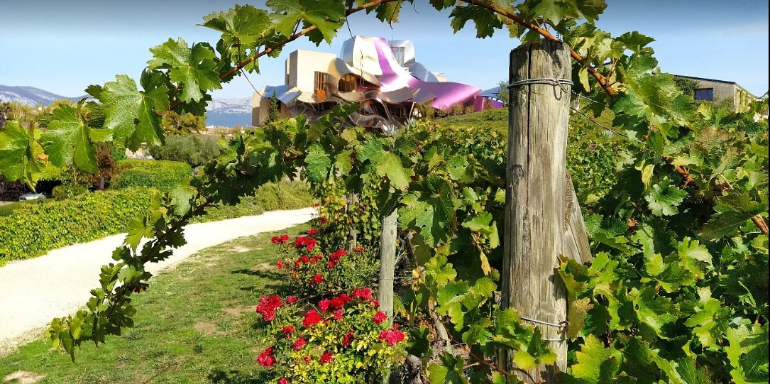 Bodega Marqués de Riscal